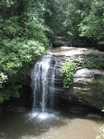 4 - Serenity Falls in the Buderim State Forest