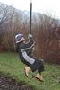 4 - Swarovski Kristallwelten, Wattens, Austria 4 - Flying Fox
