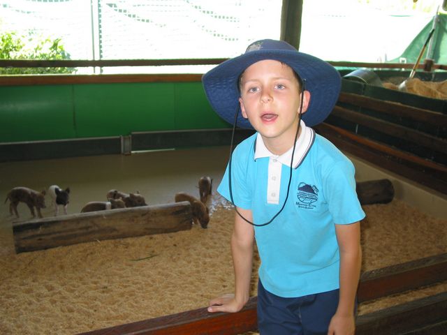 24