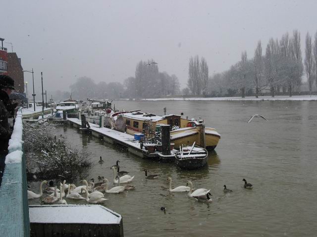 18 - Freezing houseboats along Charter Quay