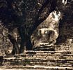 6 - Ayutyha 6 - Ancient Ayutyha