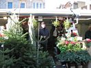7 - Xmas Trees 7 - Street stall selling Xmas trees