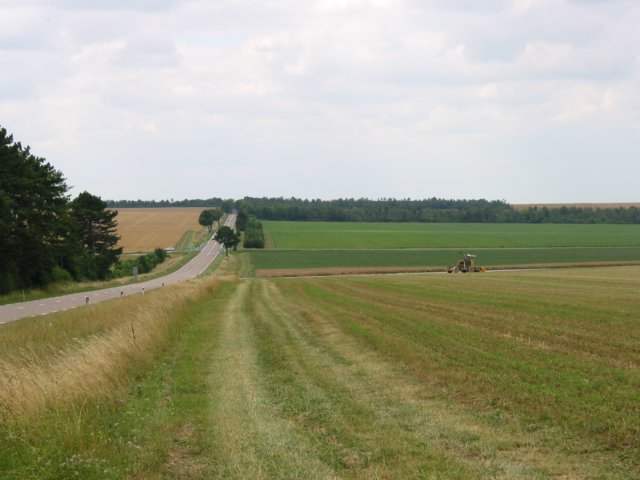 68