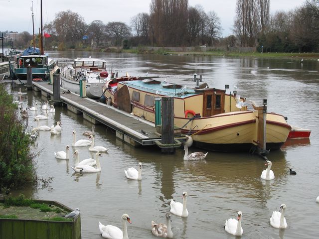 9 - Canal Boats on the Thames, Charter Quay, Kingston