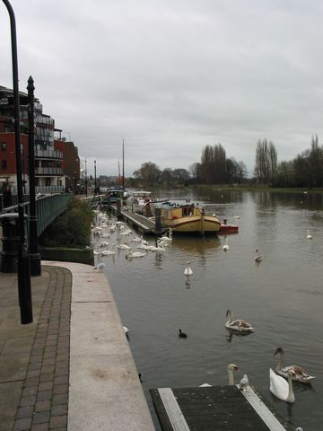 10 - Canal Boats on the Thames, Charter Quay, Kingston