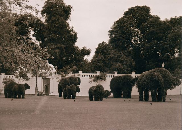 Garden Sculptures