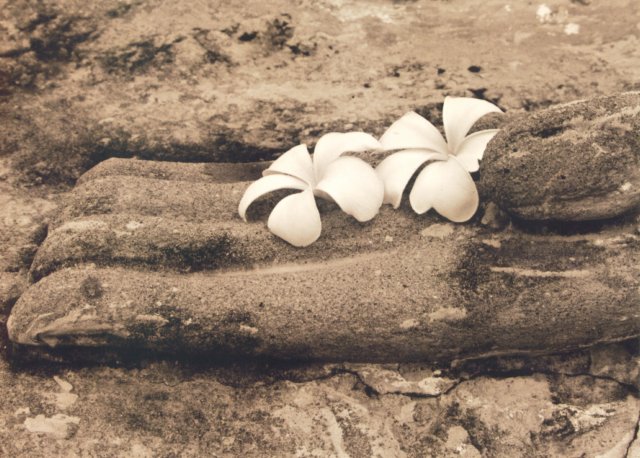 Ancient Ayutyha