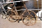 2 - Rusty Bike Amsterdam 2