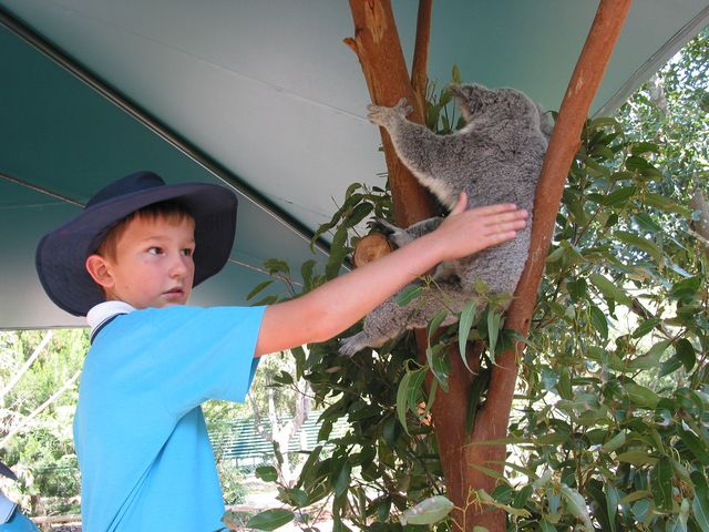 4 - Another Dylan with Bert