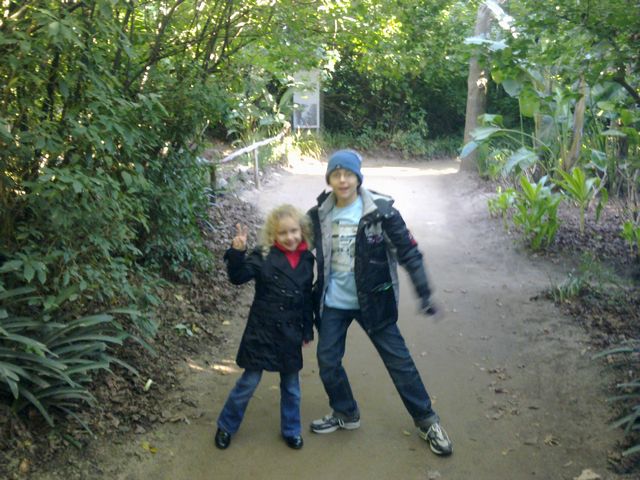 52 - Melbourne Zoo