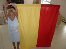 Surf livesaving flags