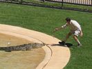 12 - Come get me Weipa