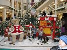 5 - Bentals Bears, Bentals Centre Kingston