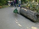 46 - Melbourne Zoo
