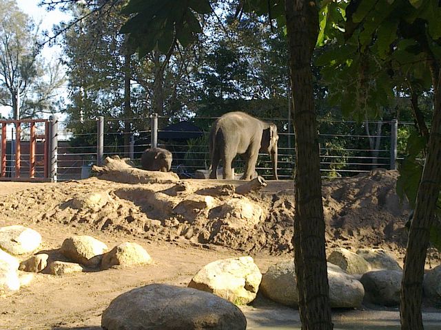 47 - Melbourne Zoo