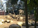 47 - Melbourne Zoo