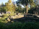 41 - Melbourne Zoo