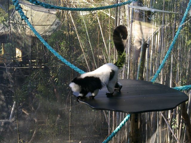 39 - Melbourne Zoo
