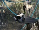 39 - Melbourne Zoo