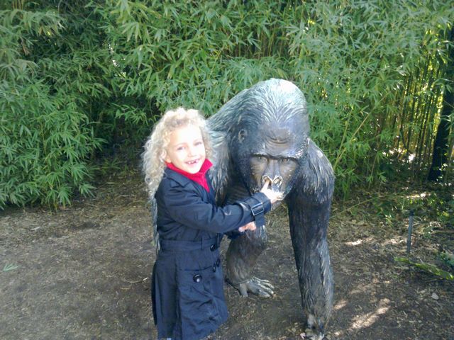 50 - Melbourne Zoo