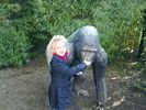 50 - Melbourne Zoo