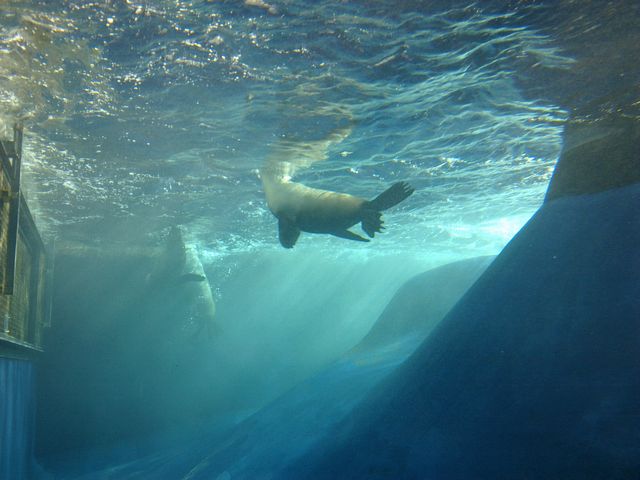 54 - Melbourne Zoo