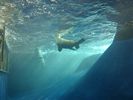 54 - Melbourne Zoo