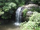 7 - Serenity Falls in the Buderim State Forest