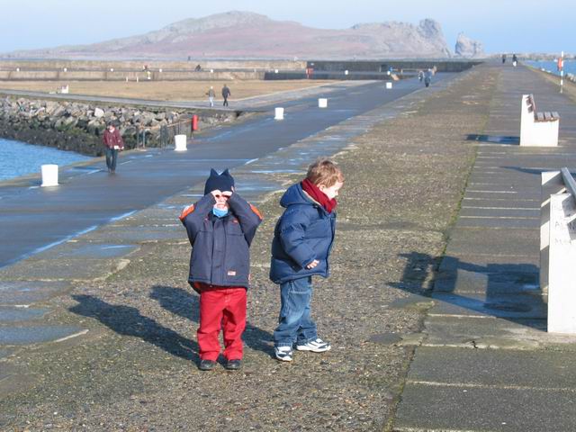 5 - Patrick and Max at Howth, Dublin (Ireland)
