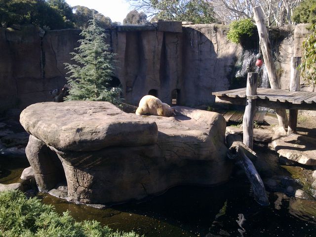 52 - Melbourne Zoo