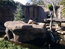 52 - Melbourne Zoo