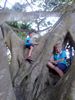 4 - Patrick and his mate Tom climbing the huge tree