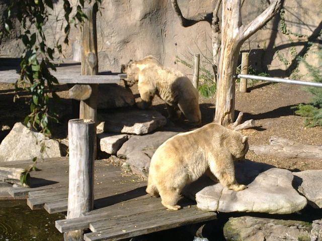 42 - Melbourne Zoo