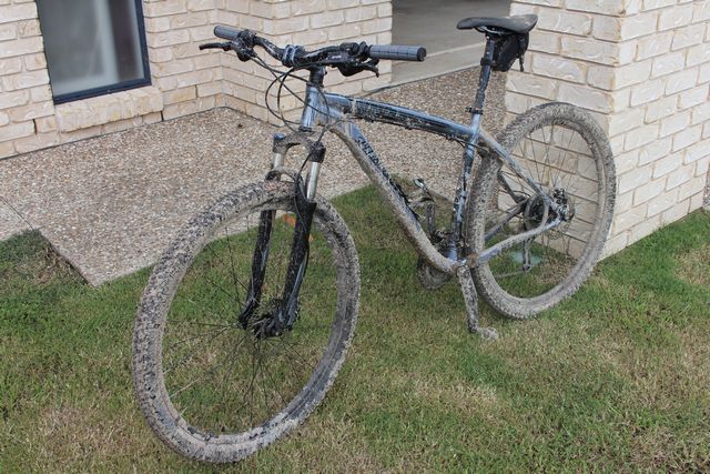 1 - Rockhopper Comp 29er Hardtail