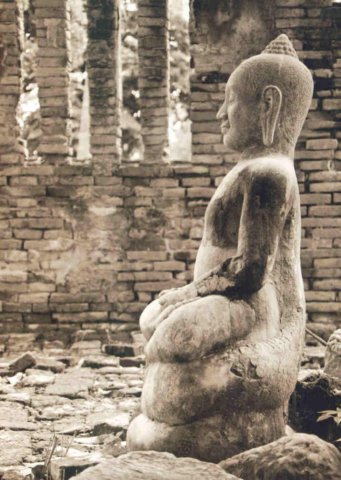 11 - Thai Buddah in Ancient Ayutyha