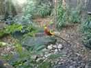 44 - Melbourne Zoo